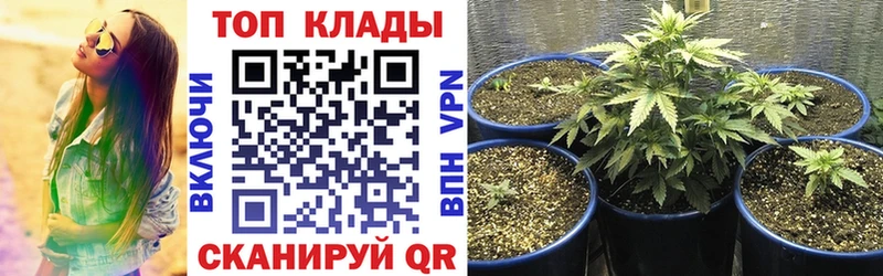 Наркошоп купить Героин  Марихуана  А ПВП  Меф мяу мяу  Галлюциногенные грибы  Гашиш  АМФ  Черемхово